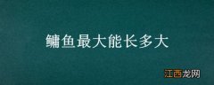 鳙鱼可以长多大 鳙鱼最大能长多大