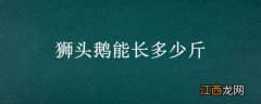 狮头鹅能长多少斤 杂交狮头鹅能长多少斤