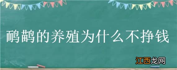 鸸鹋的养殖为什么不挣钱 养鸸鹋真的赚钱吗