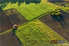 2021年小麦种植的最佳时间：最晚什么时候播种？附各地小麦播种时间