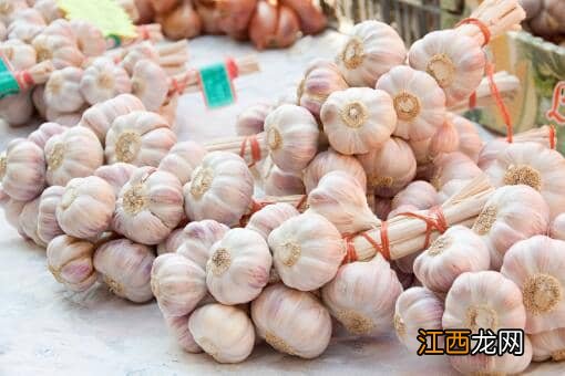 2021山东紫皮大蒜多少钱一斤 山东紫皮大蒜产地价格行情