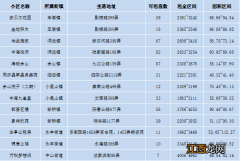 上海松江洞泾镇新桥真公租房房源信息盘点