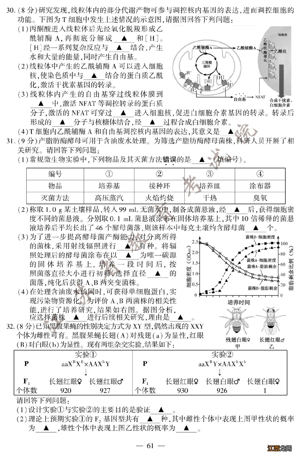 2020年江苏卷生物高考试题答案 2020年江苏高考生物试题+参考答案