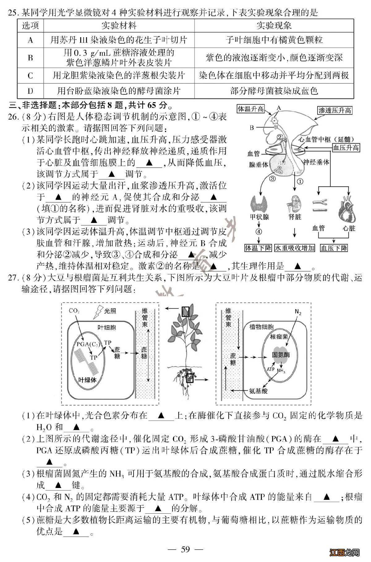 2020年江苏卷生物高考试题答案 2020年江苏高考生物试题+参考答案