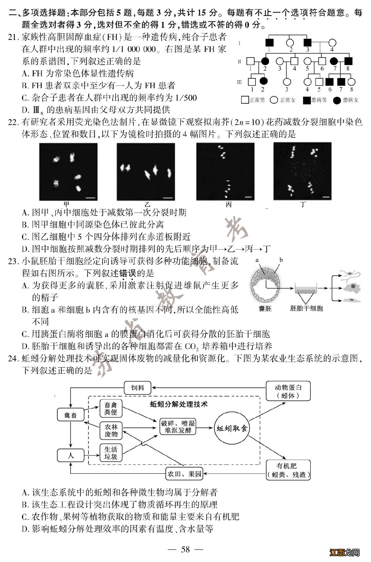 2020年江苏卷生物高考试题答案 2020年江苏高考生物试题+参考答案