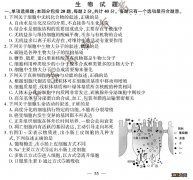 2020年江苏卷生物高考试题答案 2020年江苏高考生物试题+参考答案