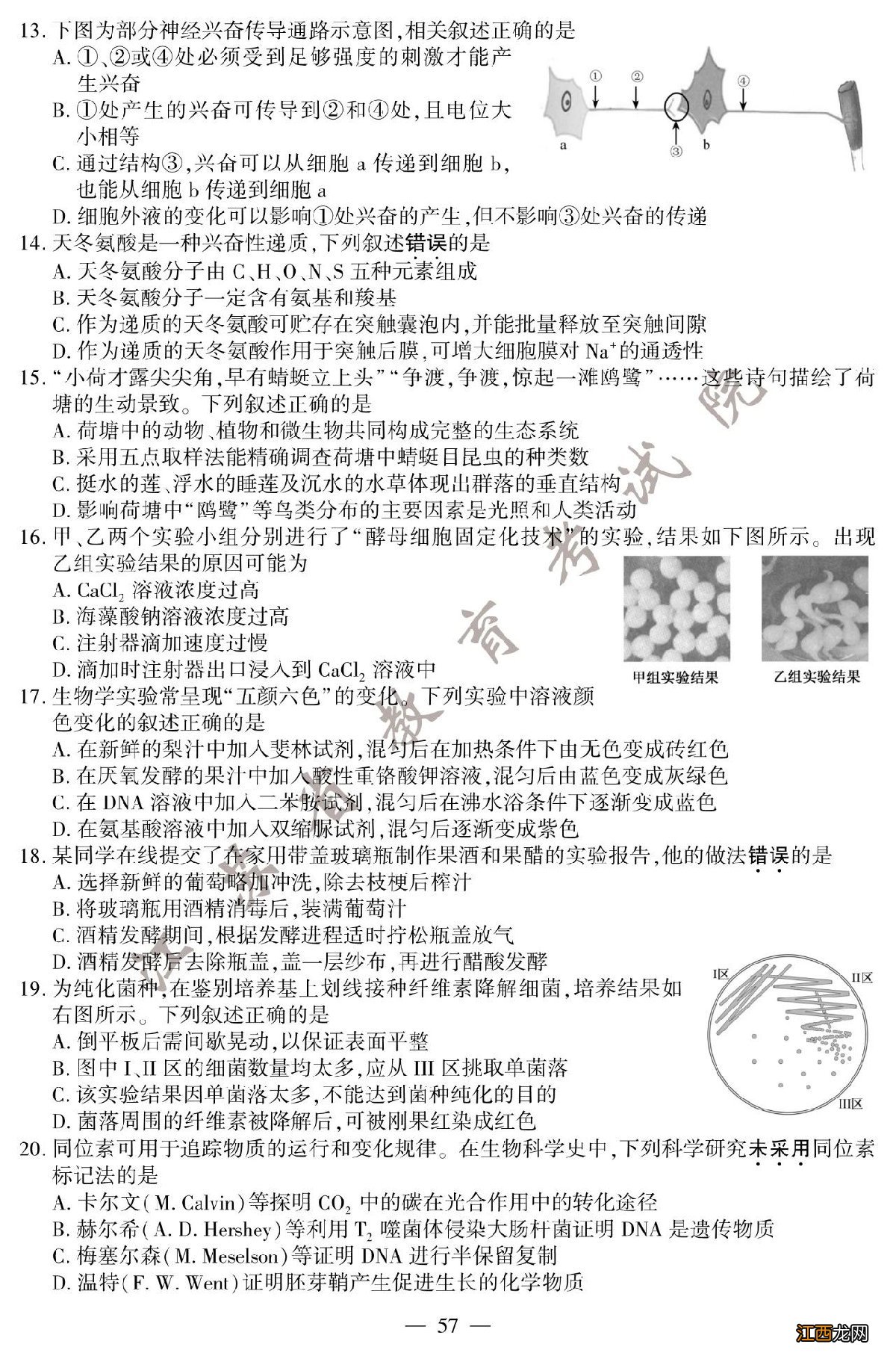 2020年江苏卷生物高考试题答案 2020年江苏高考生物试题+参考答案