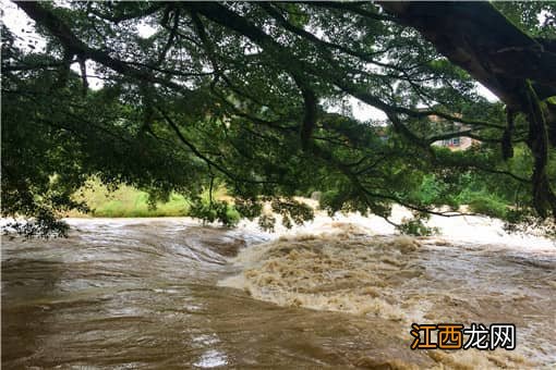 湖北多地遭遇特大暴雨！具体怎么回事？当地受灾情况如何？