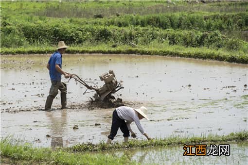 耕地地力保护补贴是什么意思 耕地地力保护补贴是哪个部门落实