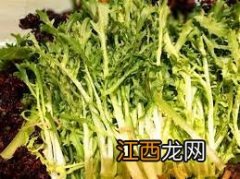 夏天犯困吃什么9种食物最提神