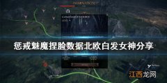 惩戒魅魔亚洲脸型 惩戒魅魔捏脸数据北欧白发女神分享