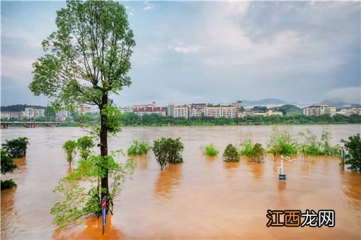 新乡2小时降雨量超过郑州！雨量具体有多大？哪里被淹？看详情！