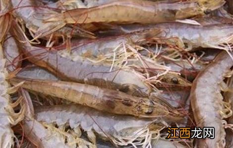 虾不能和什么一起吃 虾不能和什么一起吃?