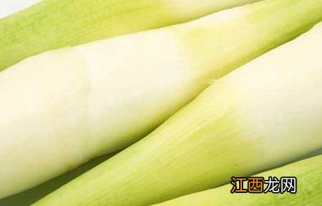 茭白不能和什么一起吃香哈菜谱 茭白不能和什么一起吃