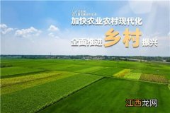 2021年中国美丽休闲乡村开始申报啦！申报条件有哪些？附最新规定！