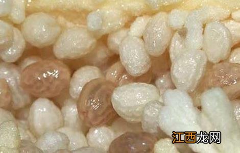 木瓜籽能不能吃 木瓜籽能不能吃木瓜的功效