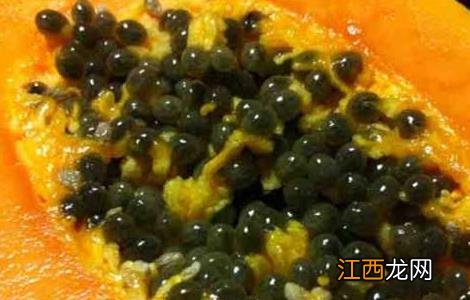 木瓜籽能不能吃 木瓜籽能不能吃木瓜的功效