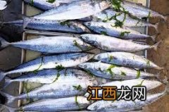 ?8月份吃什么海鲜6种海鲜最便宜肥美