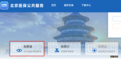 北京医保账户余额怎么查询 北京医保账户余额怎么查？