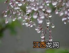 ?揭秘寒露的来历及含义