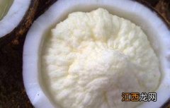 椰子的功效与作用 椰子的功效与作用禁忌和食物吃法