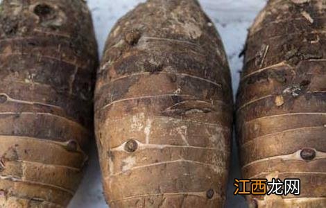 小芋头去皮手怎么会痒 芋头怎么去皮手不痒