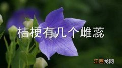 桔梗有几个雌蕊 桔梗有几个雄蕊