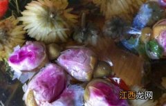 花茶的功效与作用 花茶的功效与作用禁忌