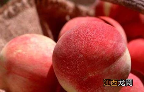 水蜜桃可以放冰箱吗冷冻吗 水蜜桃可以放冰箱吗