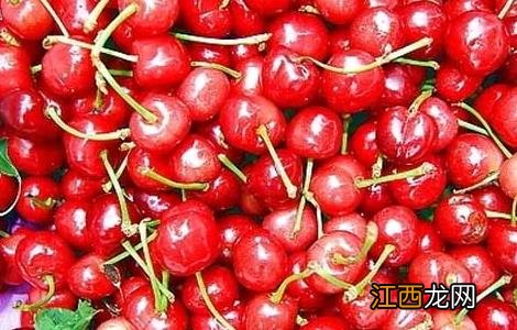 车厘子的功效与作用及营养价值 车厘子的功效与作用