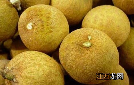 新鲜龙眼的功效与作用及禁忌 龙眼的功效与作用及禁忌