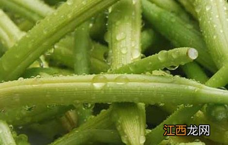 鲜黄花菜怎么处理 鲜黄花菜怎么处理没有毒