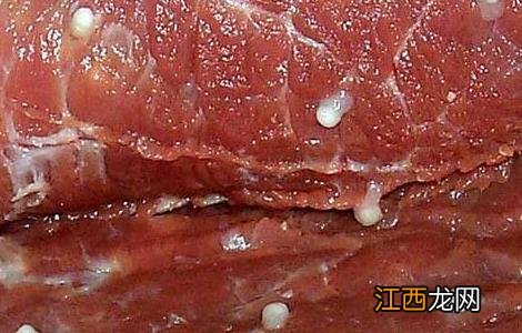 米猪肉是什么肉 米猪肉肥肉