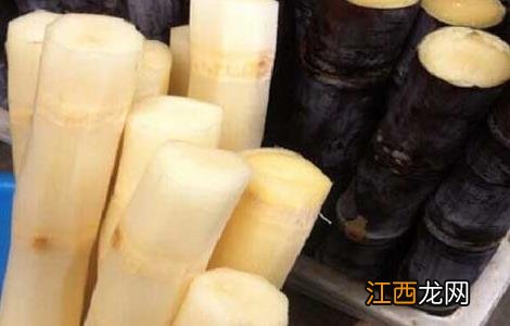 甘蔗的功效与作用及食用方法视频 甘蔗的功效与作用及食用方法