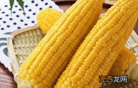 玉米的营养价值表 玉米的营养价值