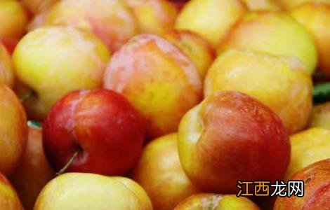 李子吃多了会怎么样 李子吃多了会怎么样月经期能吃