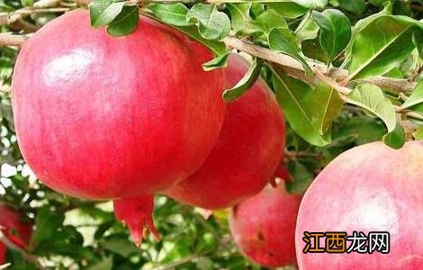 石榴汁怎么洗才能洗干净 石榴汁怎么洗才能洗干净视频