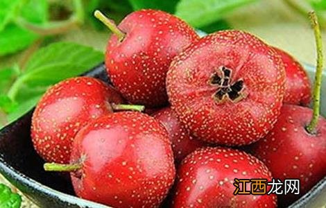 怎样吃山楂才能减肥 怎样吃山楂才能减肥呢