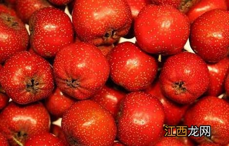 怎样吃山楂才能减肥 怎样吃山楂才能减肥呢