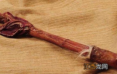 鹿鞭怎么吃才能壮阳补精 鹿鞭怎么吃才能壮阳