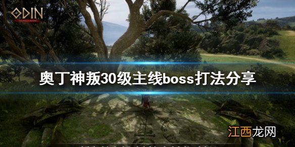 奥丁神叛副本 奥丁神叛30级主线boss怎么打