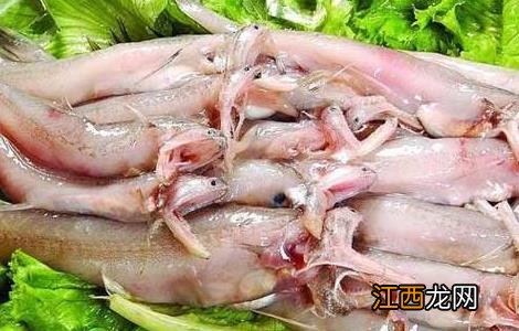 龙头鱼的家常做法大全 龙头鱼的家常做法大全窍门