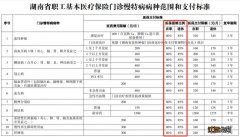 常德职工医保门诊慢病能报销吗 常德职工医保门诊慢病能报销吗