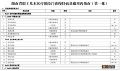 官方 湖南省职工基本医疗保险门诊慢特病用药指南