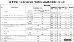 湖南省职工医保门诊慢特病病种范围和医保支付标准