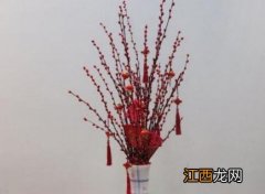 银柳可以剪短吗 银柳太长可以剪断吗