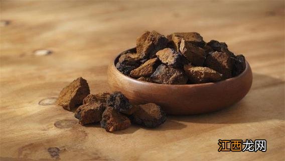 白桦茸是啥 什么是白桦茸