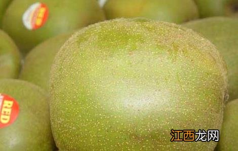 猕猴桃什么时候吃最好 徐香猕猴桃什么时候吃最好