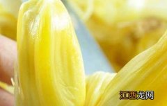 吃菠萝蜜能减肥吗早上 吃菠萝蜜能减肥吗