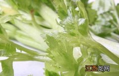 芹菜杀精吗 男性吃芹菜杀精吗